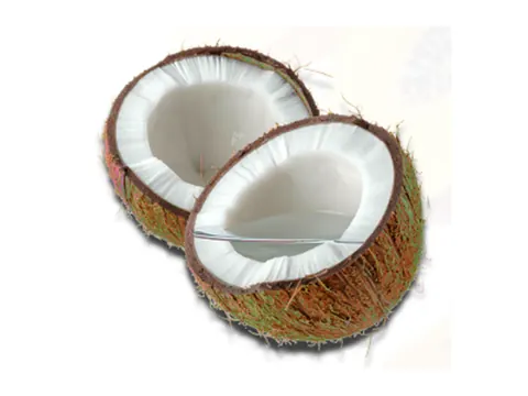 Coconut