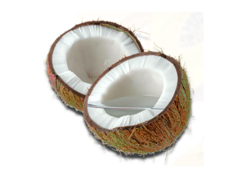 Coconut