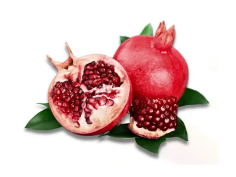 Pomegranate