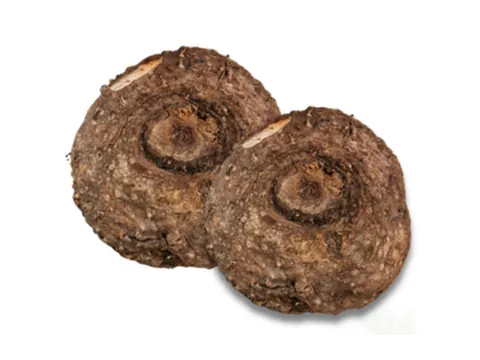 Suran (Yam)